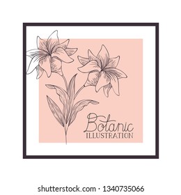 botanic illustration label with plants