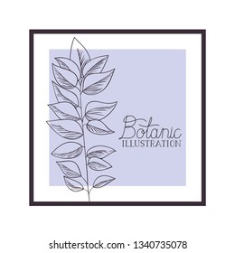 botanic illustration label with plants