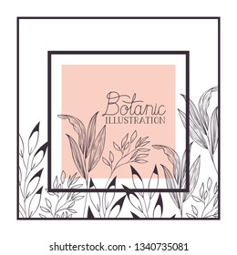 botanic illustration label with plants