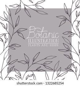 botanic illustration label with plants and herbs