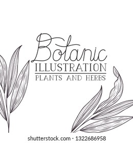 botanic illustration label with plants and herbs