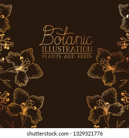 botanic illustration label with plants and herbs