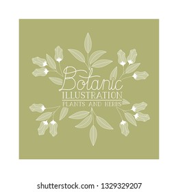 botanic illustration label with plants and herbs