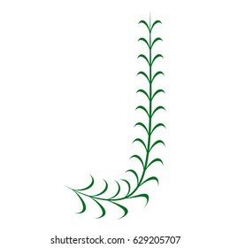 Botanic letter J of thin branches with leaves. capital letter for alphabet or logo design