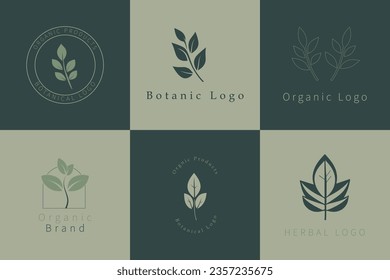 Botanic Logo Collection, Set of Organic Brand Identities, Vector Logos
