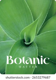 Botanic matter. Natural, texture, background, isolated, design, vector.