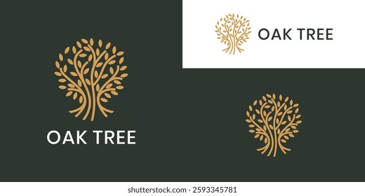 Botanic oak tree logo design, plant icon
