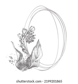 Marco oval botánico con flor. Grabando estilo realista para postal, volante, publicidad. Color gris monocromo.