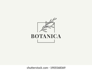 Botanic plant logo design. Vector illustration of aesthetic botanical with rectangle frame. Modern vintage icon design template with line art style.