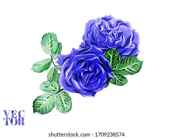 Botanic Rose Flower Swimwear Print. Hand Drawn Isolated Design. Classic Blue and Indigo Rose and Leaves Elements. Girly Hawaiian Peony Background.  Summer Peonies Leaves and Buds Sleepwear Texture. 