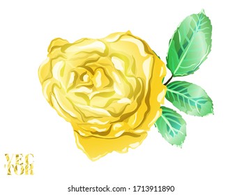 Botanic Rose Flower Swimwear Print. Hand Drawn Isolated Design. Gold Yellow Summer Peonies Leaves and Buds Sleepwear Texture.  Rose and Leaves Elements. Girly Hawaiian Peony Background. 