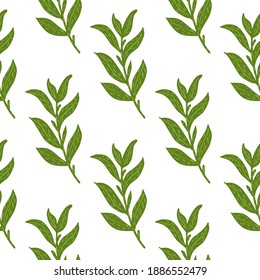 Botanic seamless isolated pattern with simple green leaf branches ornament. White background. Designed for fabric design, textile print, wrapping, cover. Vector illustration.