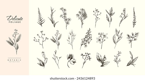 Botanic set of detailed various flowers and brunch. Luxury vintage floral collection for wedding invitation, wallpaper art or save the date card. Botanical vector illustration