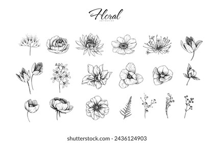 Botanic set of detailed various flowers and brunch. Luxury vintage floral collection for wedding invitation, wallpaper art or save the date card. Botanical vector illustration