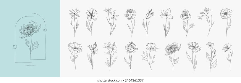 Botanic set of detailed various flowers. Luxury vintage floral collection for wedding invitation, wallpaper art or save the date card. Botanical vector