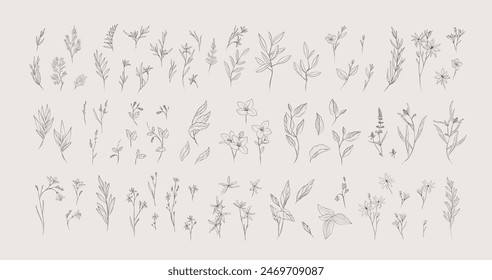 Botanic set of detailed various flowers and brunch. Luxury vintage floral collection for wedding invitation, wallpaper art or save the date card. Botanical vector illustration, line herbs