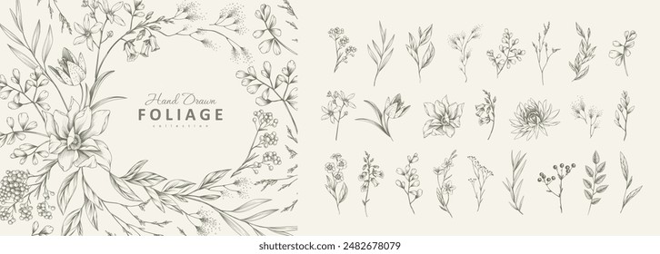 Botanic set of detailed various flowers and brunch. Luxury vintage floral collection for wedding invitation, wallpaper art or save the date card. Botanical vector illustration