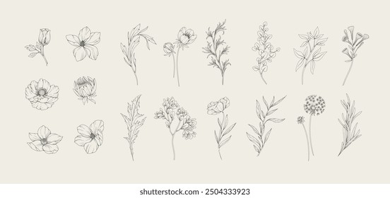 Botanic set of detailed various flowers and brunch. Luxury vintage floral collection for wedding invitation, wallpaper art or save the date card. Botanical vector illustration