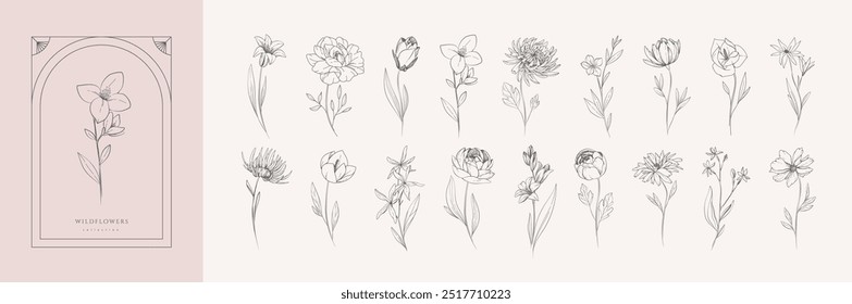 Botanic set of detailed various flowers. Luxury vintage floral collection for wedding invitation, wallpaper art or save the date card. Botanical vector