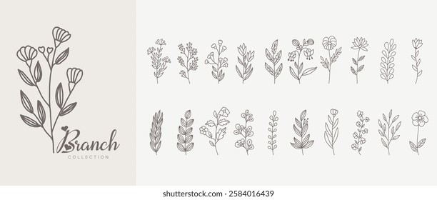 Botanic set of detailed various flowers and brunch. Luxury vintage floral collection for wedding invitation, wallpaper art or save the date card. Botanical vector illustration