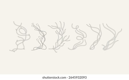 Botanic set of detailed various flowers and branches. Luxury vintage floral collection for wedding invitation, wallpaper