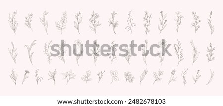 Botanic set of detailed various flowers and brunch. Luxury vintage floral collection for wedding invitation, wallpaper art or save the date card. Botanical vector illustration