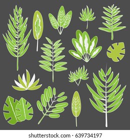 Botanic set of palm tree leaves with white outline on grey background