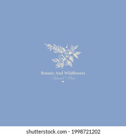 botanic and wildflower, lavender, flower. Editable vector illustration for website, invitation postcard and sticker