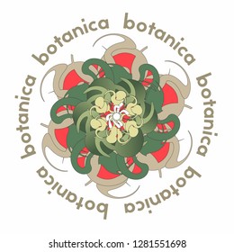 Botanica design concept with herbal composition and typography for poster and printing.
