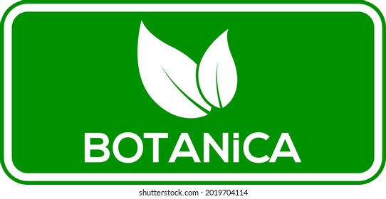 Logo o icono del vector de la hoja de Botánica, fondo verde Logo de Botanica