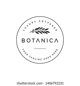 Botanica Logo Concept Nature Leaves Classics Stock Vector (Royalty Free ...