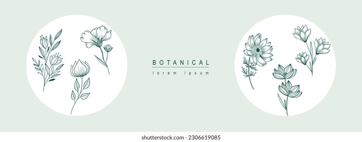 Fondo abstracto botánico con diseño de línea floral. Banner web horizontal con composición de magnolia, loto y otras flores y flores silvestres florecen en lugares circundantes. Ilustración vectorial.