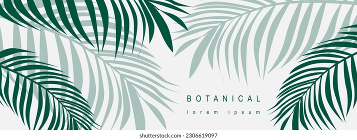 Botanical abstract background with floral line art design. Horizontal web banner in minimal style with green leaves of palm trees, tropical plant foliage with silhouette contours. Vector illustration.