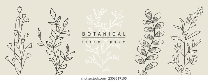 Botanical abstract background with floral line art design. Horizontal web banner with composition of silhouette contours shapes collection with herbs, grass, twigs and leaves. Vector illustration.