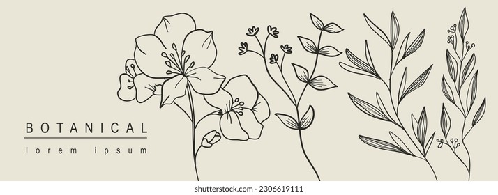 Botanical abstract background with floral line art design. Horizontal web banner with minimal composition of flower blossoms on twigs, herbs and leaves on branches collection. Vector illustration.