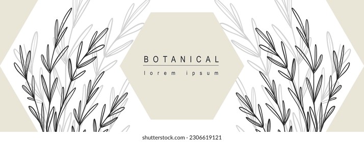 Botanical abstract background with floral line art design. Horizontal web banner with composition with geometric shapes and herb leaves contours and silhouette shadow on backdrop. Vector illustration.