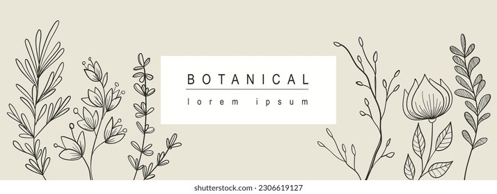 Botanical abstract background with floral line art design. Horizontal web banner with minimal elegant composition of blooming flowers, foliage greenery and twigs with leaves. Vector illustration.