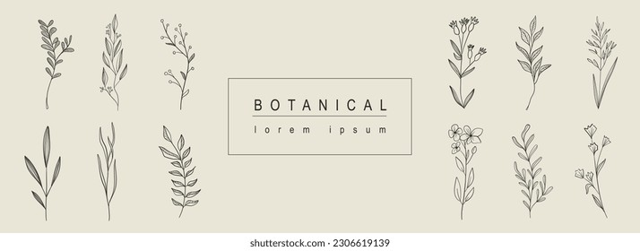 Botanical abstract background and floral line art design  Horizontal web banner and composition herbal   bouquet collection and flowers  wildflowers  herbs   twigs  Vector illustration 