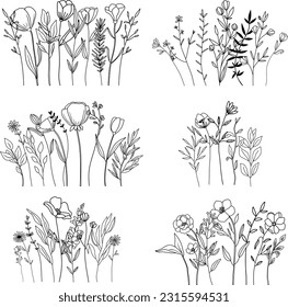 Composición artística de línea abstracta botánica, borde floral mínimo de hierbas dibujadas a mano, flores, hojas y ramas; ilustración vectorial