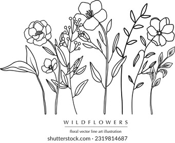 Botanical abstract line art composition with wildflowers, minimal floral border of hand drawn herbs, flowers, leaves and branches; vector illustration