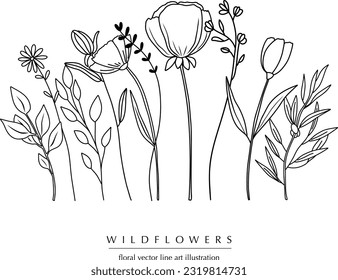 Botanical abstract line art composition with wildflowers, minimal floral border of hand drawn herbs, flowers, leaves and branches; vector illustration