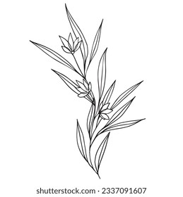 Composición de arte de línea abstracta botánica con elementos florales mínimos de hierbas, flores, hojas y ramas. ilustración vectorial para invitación de boda, diseño de logotipo y plantilla de afiches, tatuaje.