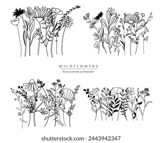 Botanical abstract line art compositions, minimal floral borders of hand drawn herbs, flowers, leaves and branches; vector illustration