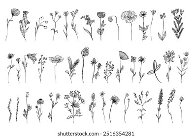 Botanical abstract line arts. Bouquets of herbs, flowers, leaves and branches. Hand drawn minimal design. Perfect for wallpaper, template, banner, wall decor, print postcard cover. Vector illustration