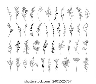 Botanical abstract line arts, wildflowers line art drawing, hand drawn herbs, flowers and branches, vector illustrationBotanical abstract line arts, wildflowers line art drawing, hand drawn herbs