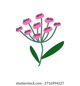 Botânica abstrata primavera selvagem flor e planta. Forma de doodle floral orgânico. Hippie funky florescendo adesivos. Ilustração vetorial isolada