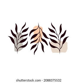 Clipart vector abstracto botánico. Follaje dibujado a mano y plantas de estilo lineal, formas abstractas y figuras. Terracota y colores naturales. Diseño mínimo de boho para cubiertas, volantes, pancartas, arte mural
