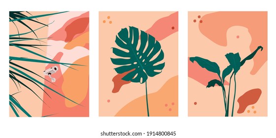 Botanical abstract wall arts vector collection.Design for packaging design, social media post, cover, banner, Wall arts, geometric pattern design vector