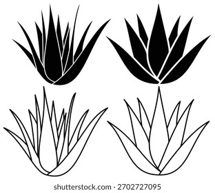 Botânica Aloe Vera Vetor Coleção - Linha de Arte, Silhuetas e Conjunto de Ícones Mínimo