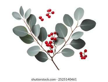 Un arreglo botánico con hojas verdes y plateadas, bayas rojas y Formas orgánicas en luz natural y sombra para una decoración vibrante, estacional y ecológica